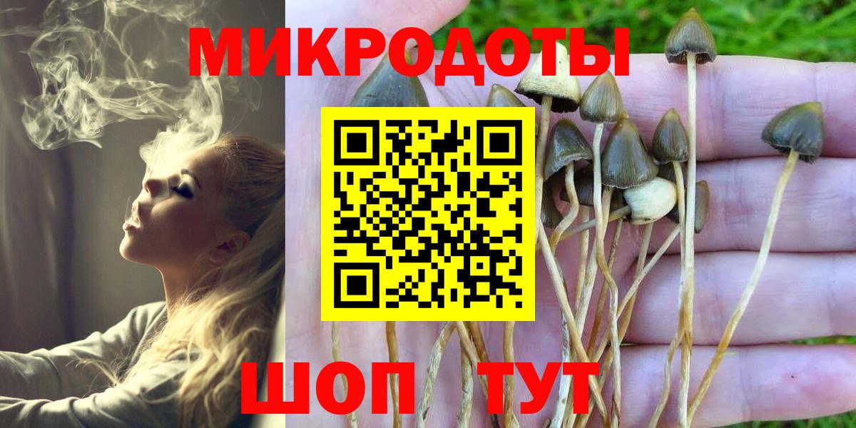 Псилоцибиновые грибы Psilocybe Амурск