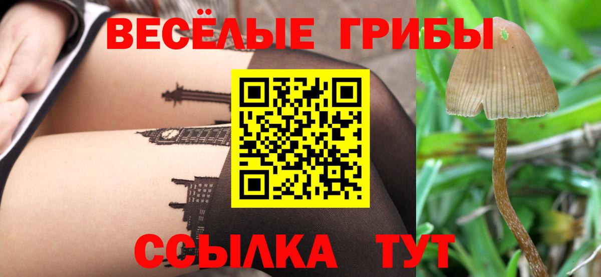 Галлюциногенные грибы ЛСД  Вход с VPN  Галлюциногенные грибы Psilocybine cubensis  Амурск 